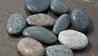 galka1