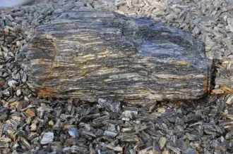 2l